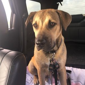 Meet your Posher, Loretta